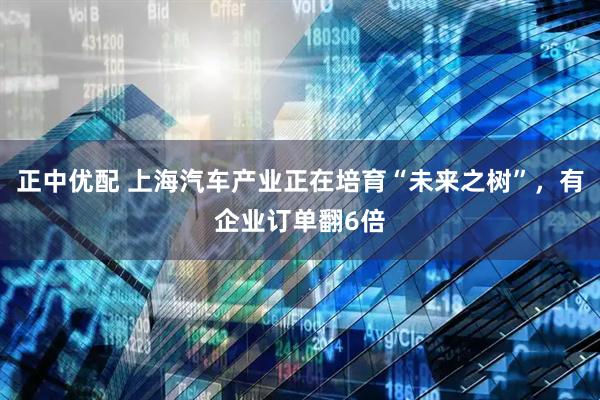 正中优配 上海汽车产业正在培育“未来之树”，有企业订单翻6倍